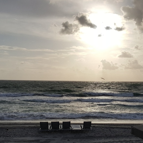 Meet your Posher, Mj - Picture 6 of 8